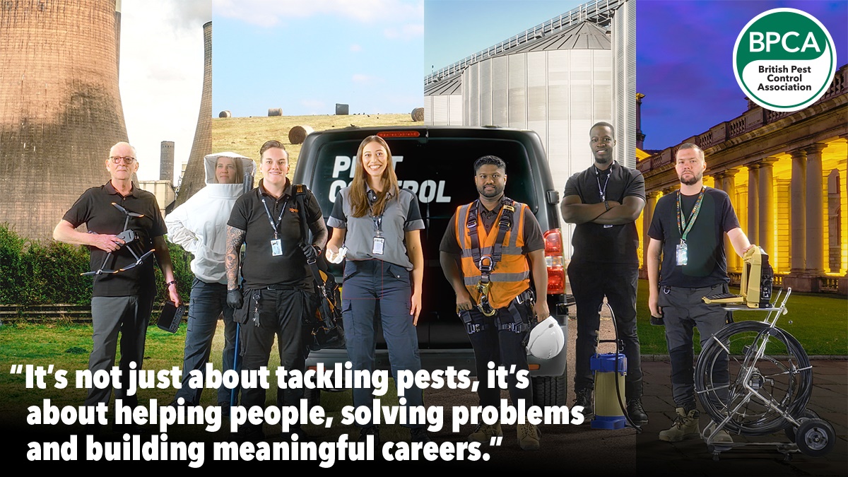 Generation c2 Generation c2